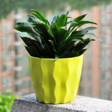 Hot Selling Colorful Plastic Flower Pot for Home Decoration